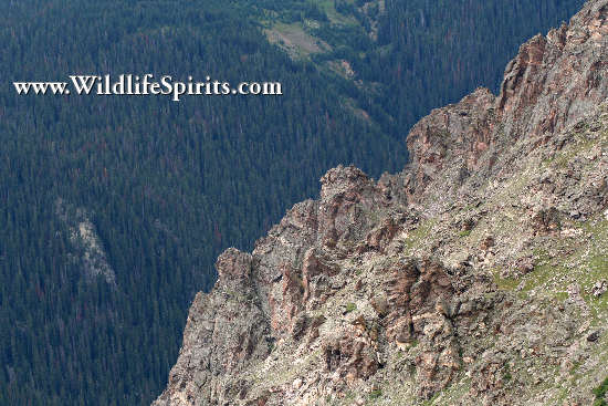 Click Picture to send as an  E-PostCard 65k 550x367